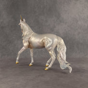 Estelle LE-5 FCM Arabian Mare by Jess Hamill & Matt Samuels EQ26