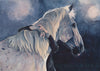 Art of the Horse &quot;Eunoia&quot; LE-15 GLOSSY FCM Volo by Julie Keim EQ25