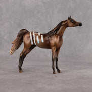 Centaur OOAK Chip Arabian by Enrique Duarte WC26