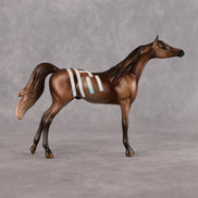 Centaur OOAK Chip Arabian by Enrique Duarte WC26