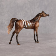 Centaur OOAK Chip Arabian by Enrique Duarte WC26