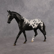 Cerasus OOAK Pony by Jess Hamill DDOOAKs26