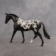 Cerasus OOAK Pony by Jess Hamill DDOOAKs26