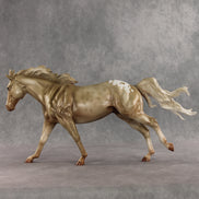 Household Name OOAK FCM Remington by Julie Keim DDOOAKs26