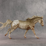 Household Name OOAK FCM Remington by Julie Keim DDOOAKs26