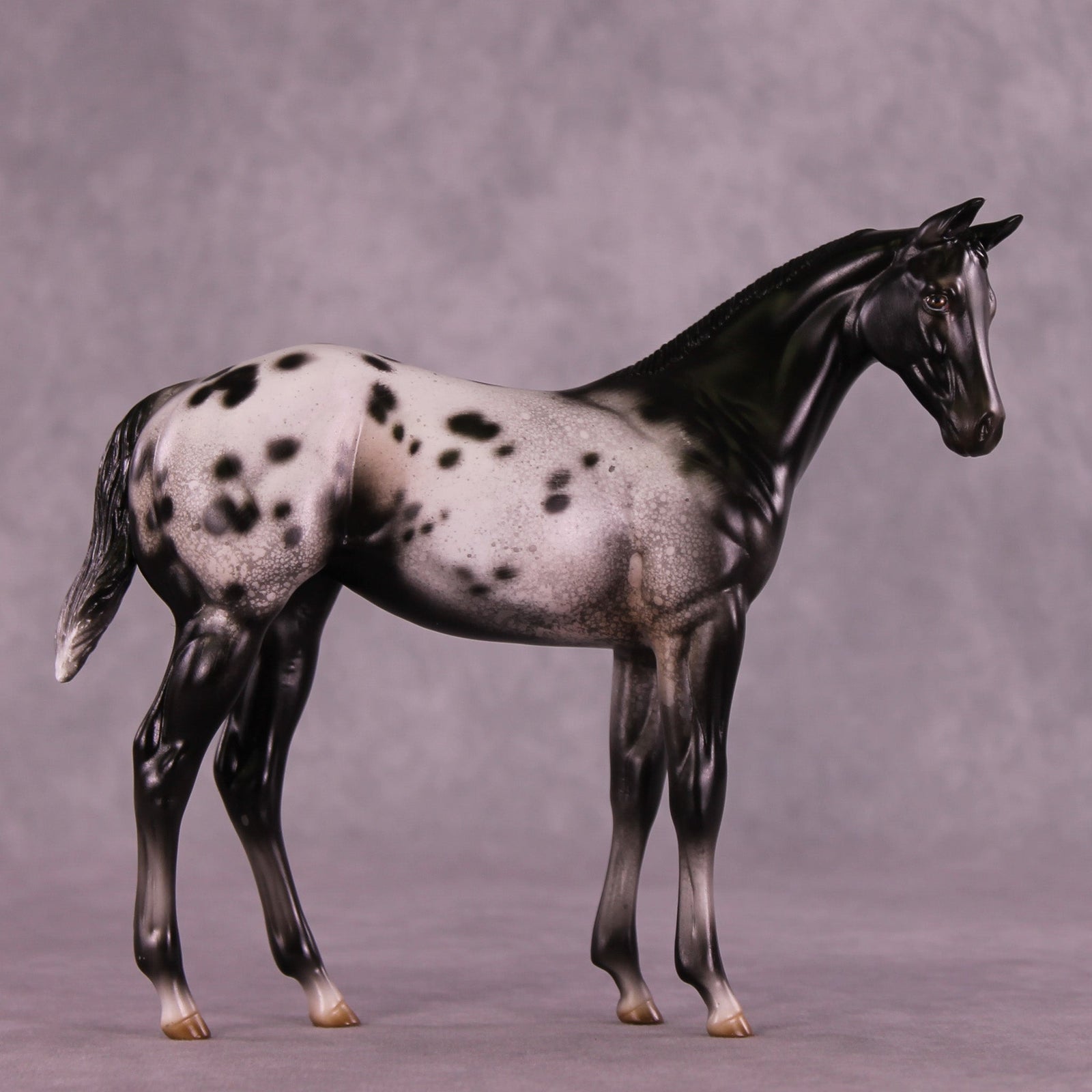 Channel Surfing OOAK Stock Horse Weanling by Jess Hamill MM25 Group A