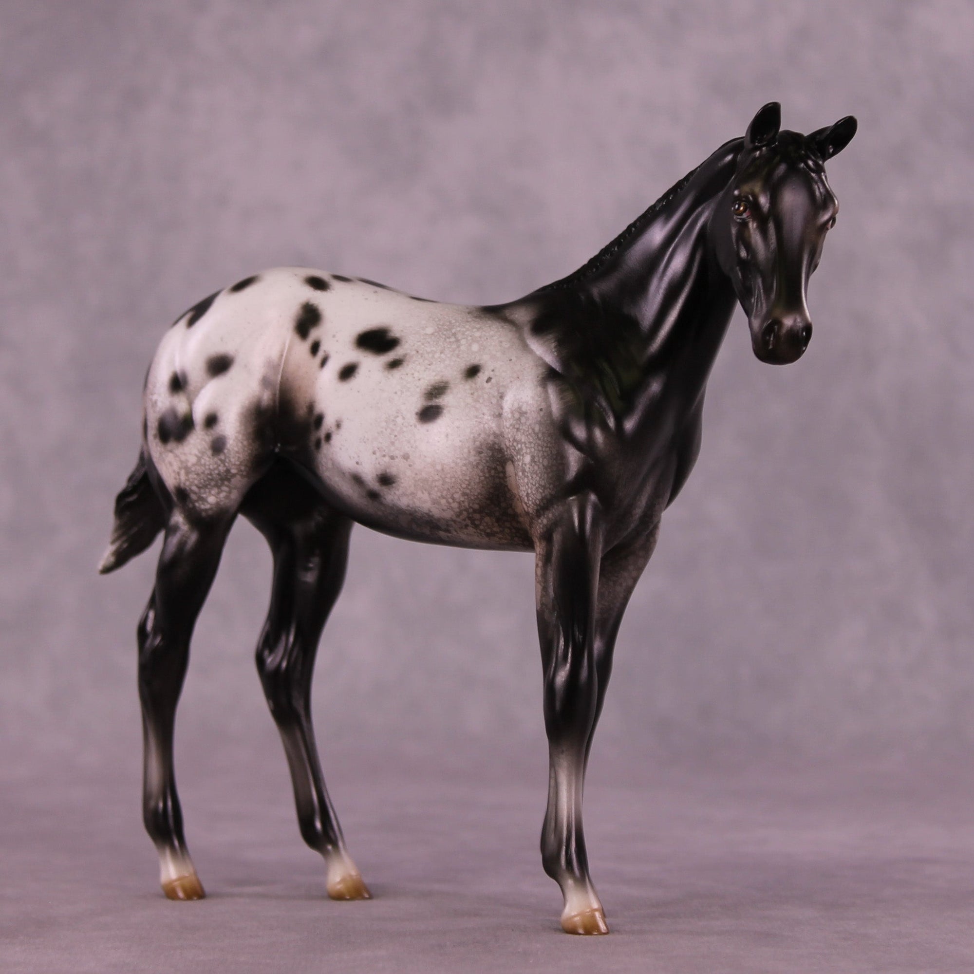 Channel Surfing OOAK Stock Horse Weanling by Jess Hamill MM25 Group A