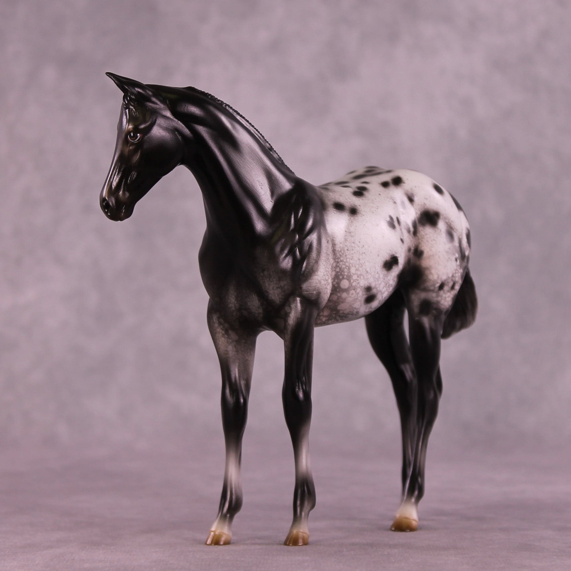 Channel Surfing OOAK Stock Horse Weanling by Jess Hamill MM25 Group A