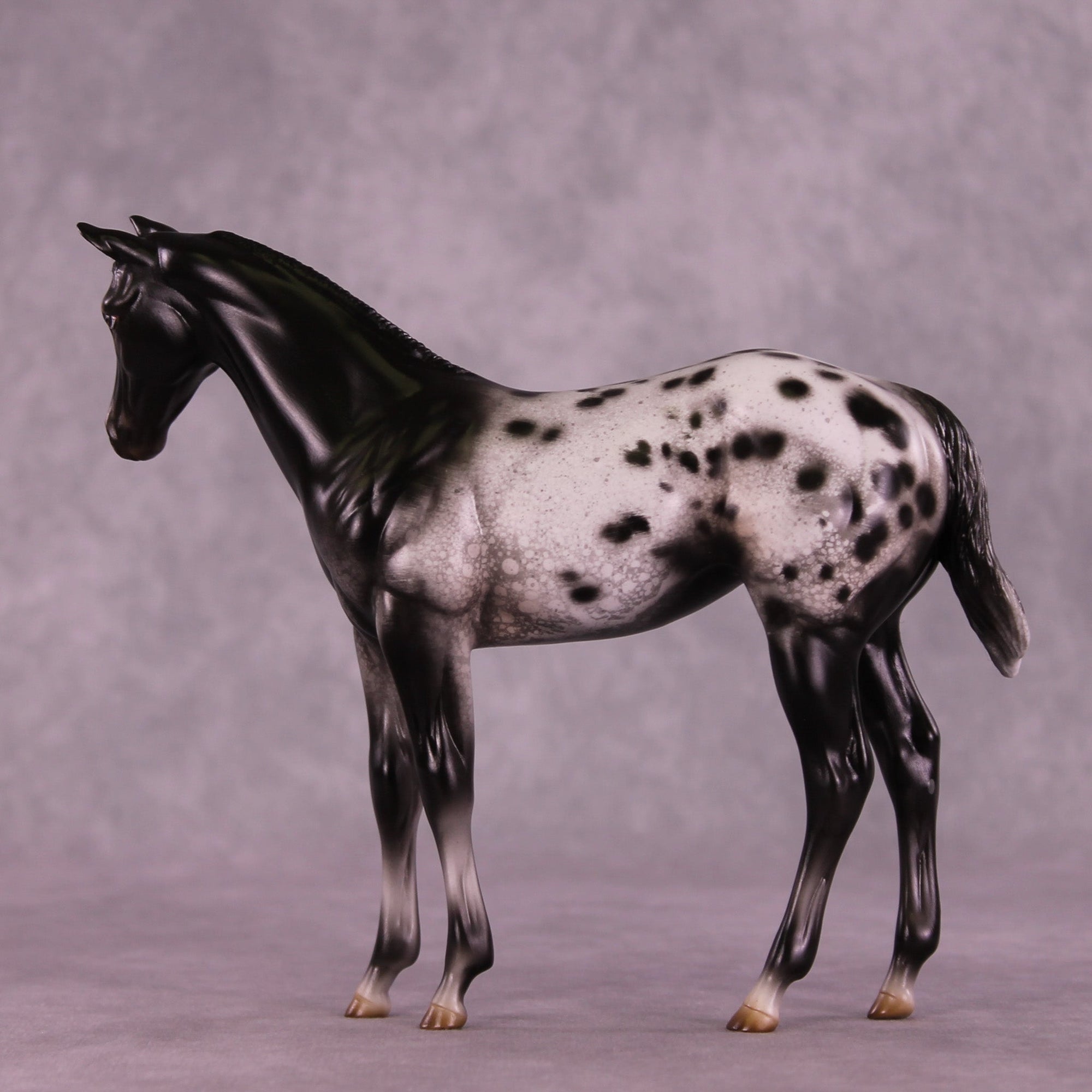 Channel Surfing OOAK Stock Horse Weanling by Jess Hamill MM25 Group A