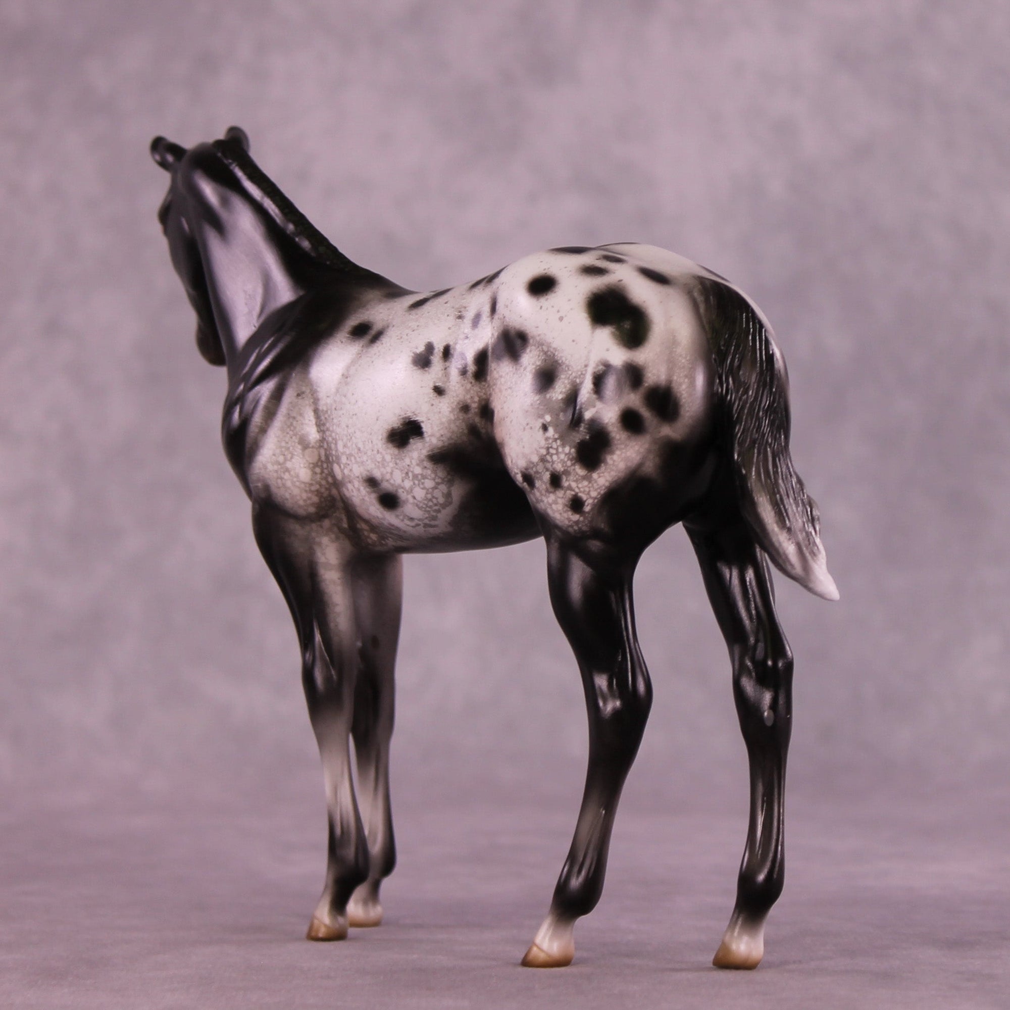 Channel Surfing OOAK Stock Horse Weanling by Jess Hamill MM25 Group A