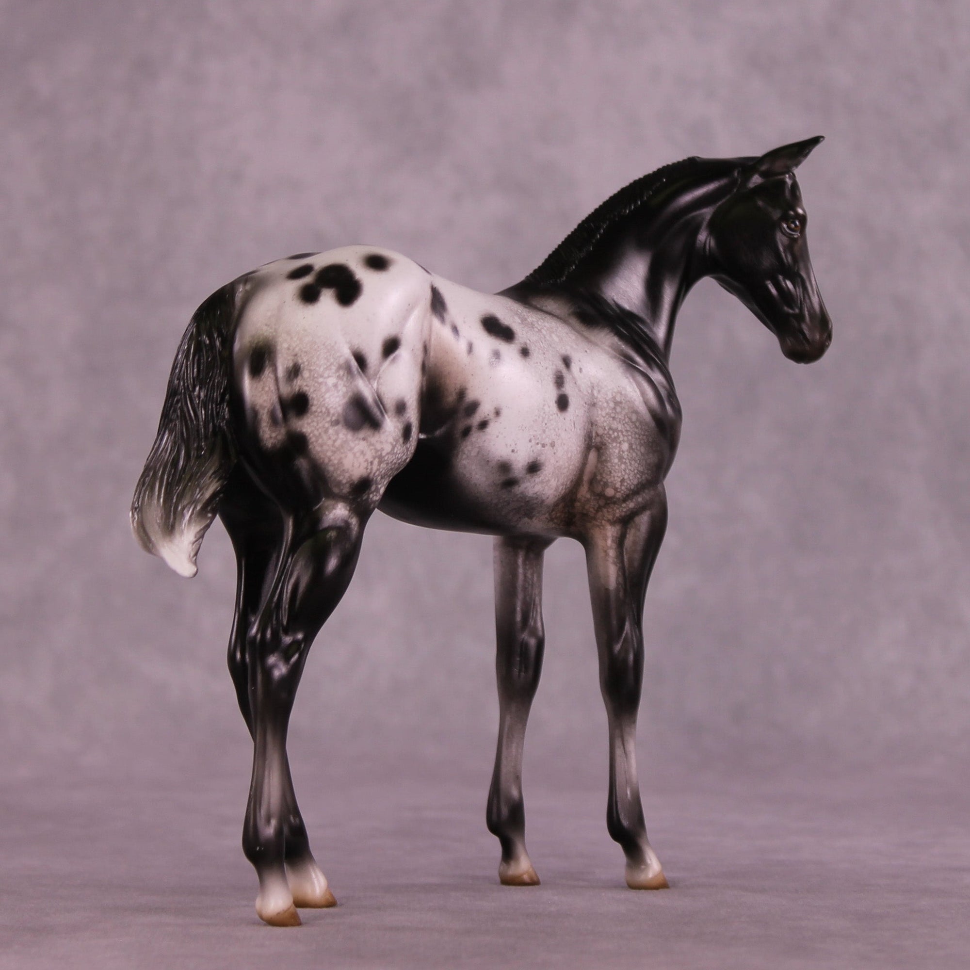 Channel Surfing OOAK Stock Horse Weanling by Jess Hamill MM25 Group A