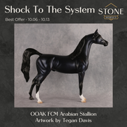 Shock to the System OOAK FCM Arabian Stallion by Tegan Davis Best Offer 10.6.2026