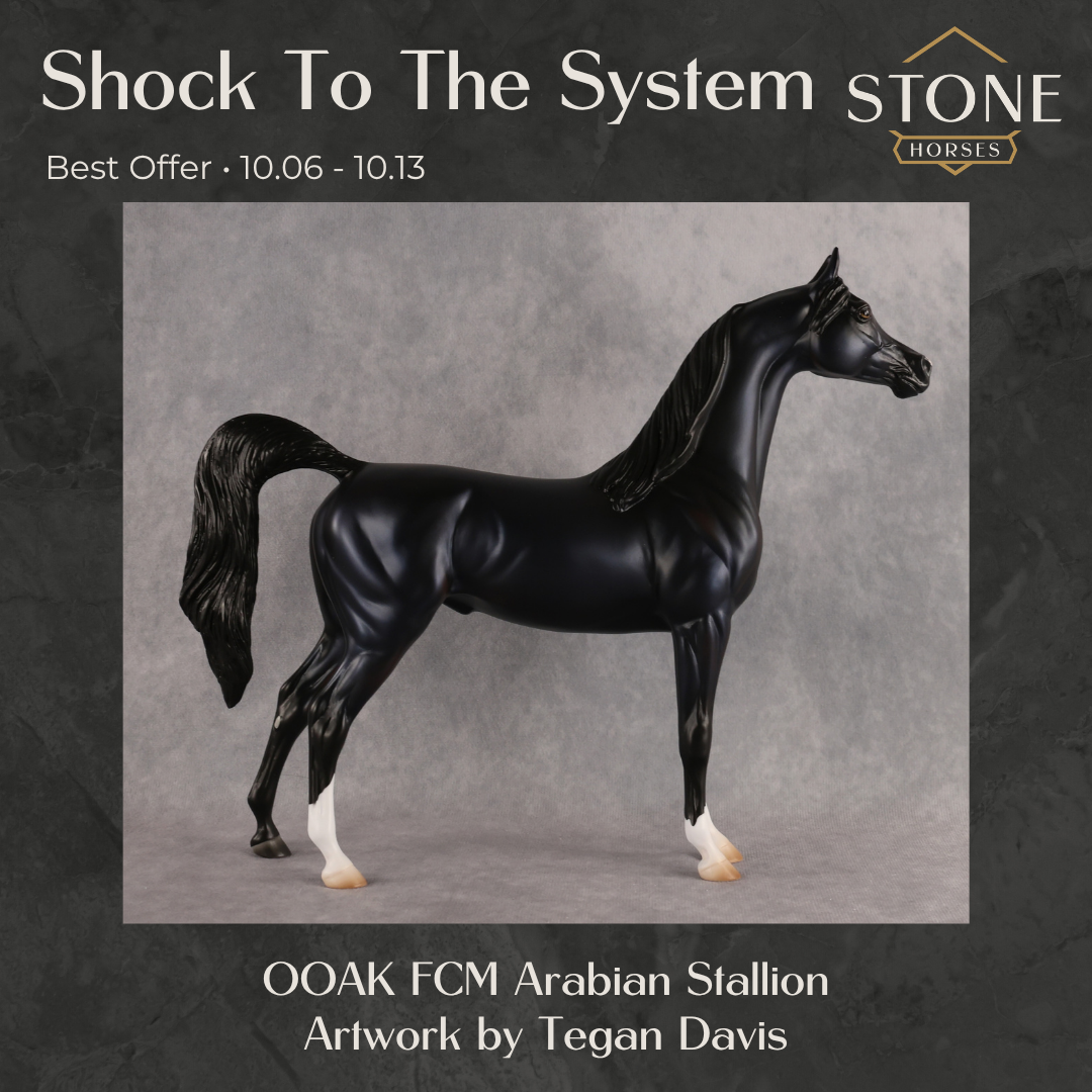 Shock to the System OOAK FCM Arabian Stallion by Tegan Davis Best Offer 10.6.2026