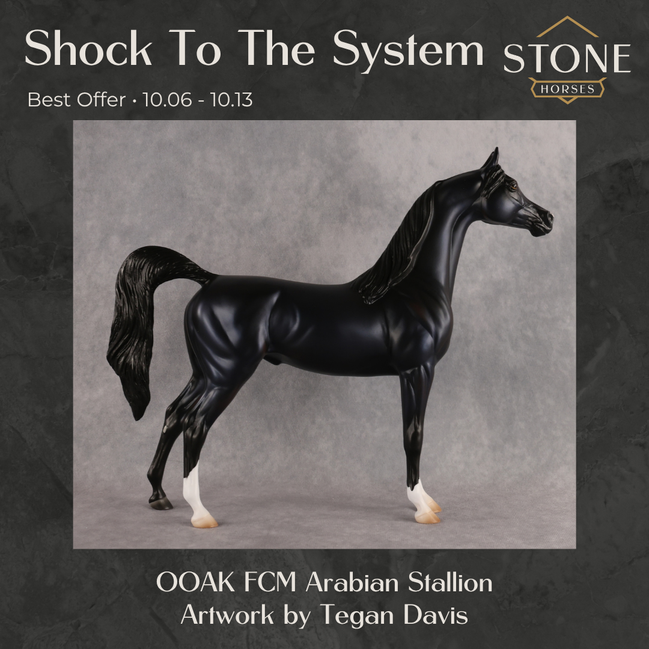Shock to the System OOAK FCM Arabian Stallion by Tegan Davis Best Offer 10.6.2026