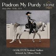Padron My Purdy OOAK EFCM Arabian Stallion by Tiffany Purdy Best Offer 10.6.2026