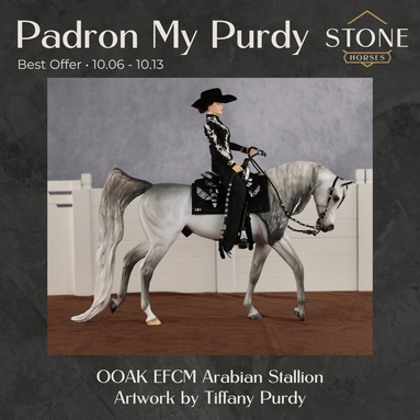 Padron My Purdy OOAK EFCM Arabian Stallion by Tiffany Purdy Best Offer 10.6.2026