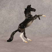 Charcoal Dust OOAK Chip Mustang by Alex Fortman EQ26