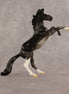 Charcoal Dust OOAK Chip Mustang by Alex Fortman EQ26