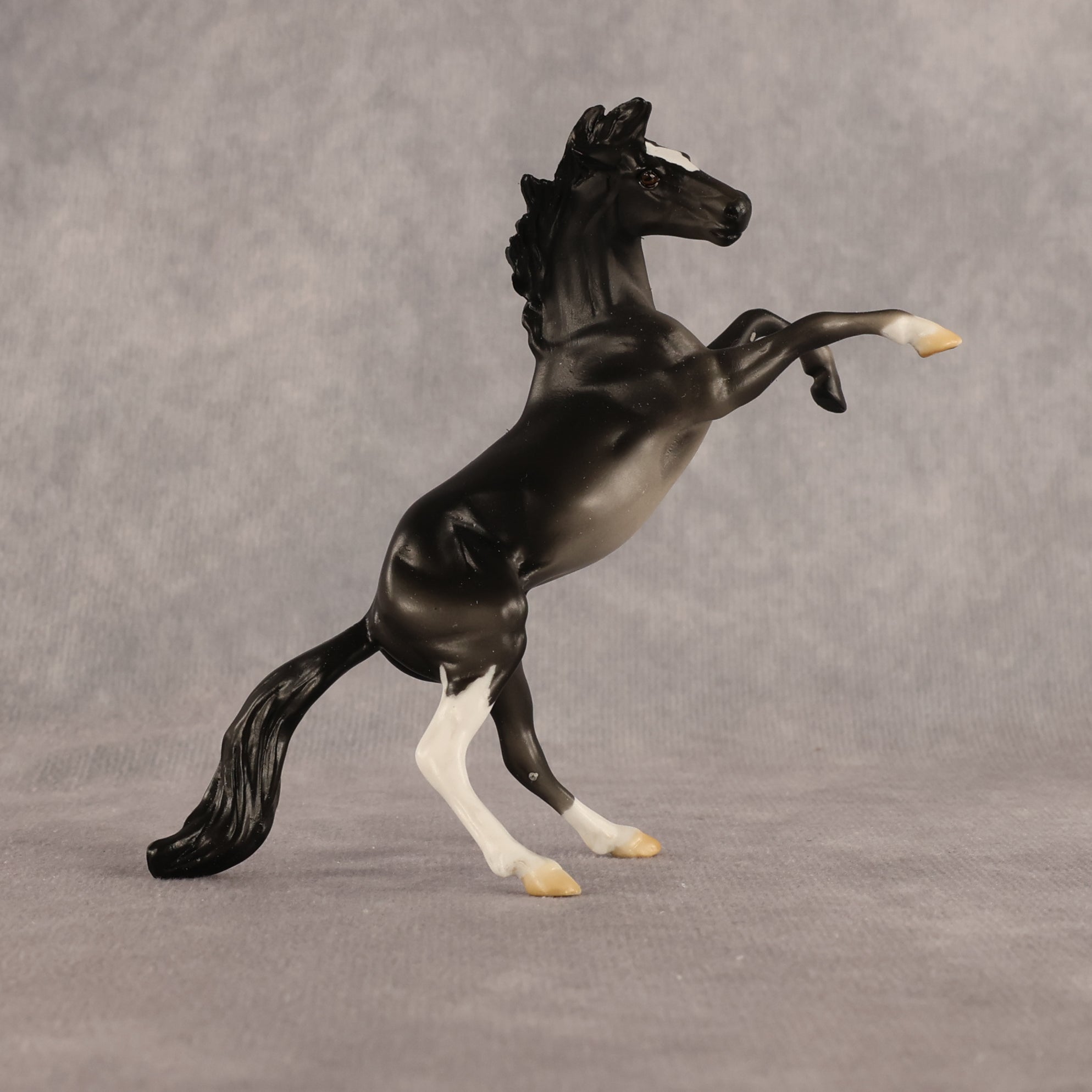 Charcoal Dust OOAK Chip Mustang by Alex Fortman EQ26