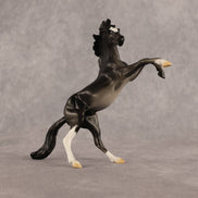 Charcoal Dust OOAK Chip Mustang by Alex Fortman EQ26