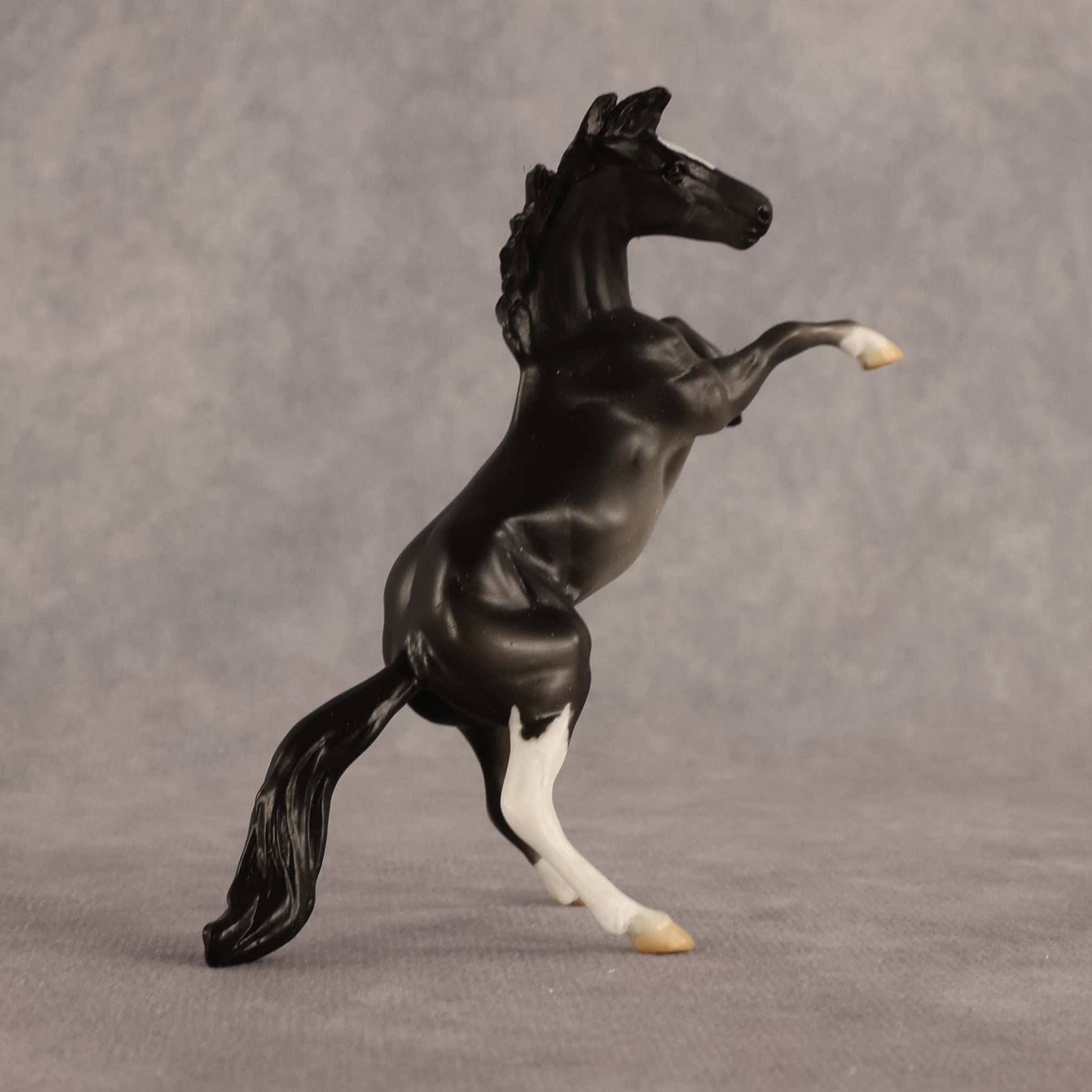 Charcoal Dust OOAK Chip Mustang by Alex Fortman EQ26