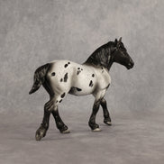 Charcoal OOAK Pebble Drafter by Madi Wiseman EQ26