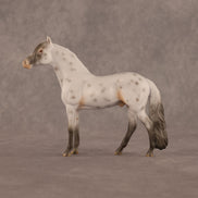 Charles OOAK Chip Andalusian by Madi Wiseman LHS26