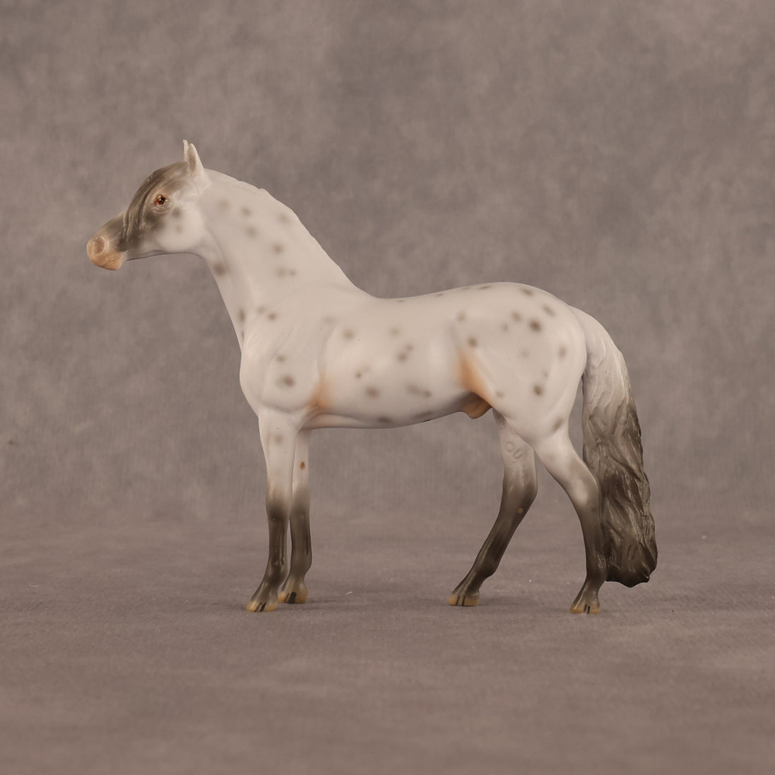 Charles OOAK Chip Andalusian by Madi Wiseman LHS26