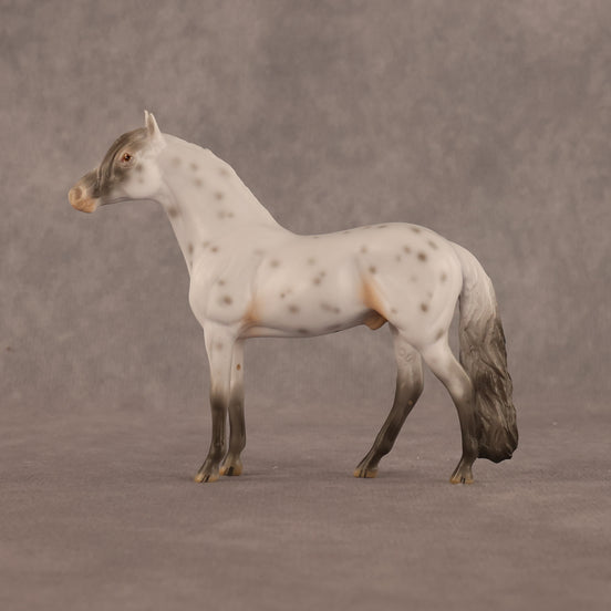 Charles OOAK Chip Andalusian by Madi Wiseman LHS26