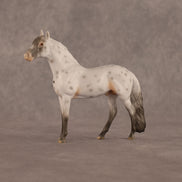 Charles OOAK Chip Andalusian by Madi Wiseman LHS26