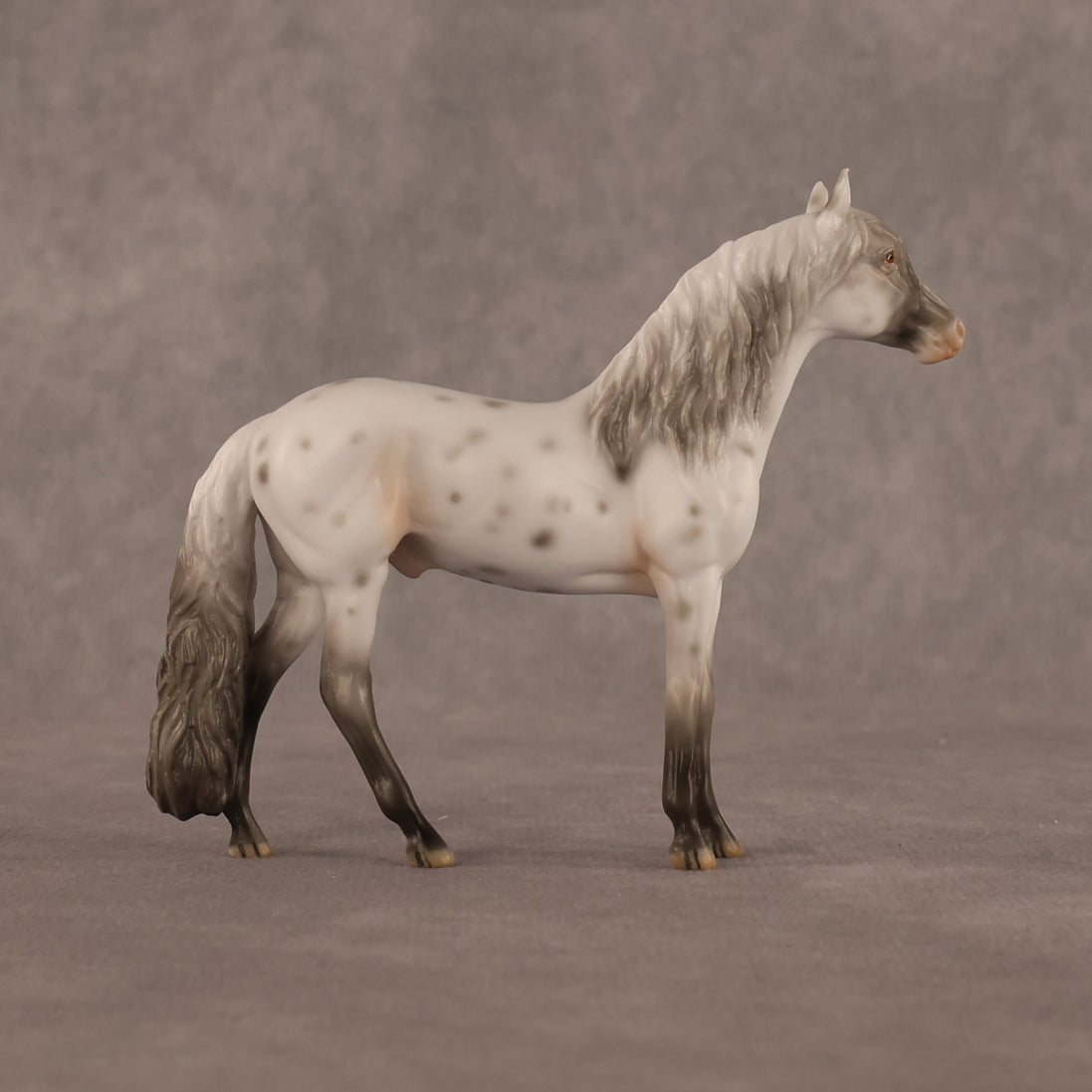 Charles OOAK Chip Andalusian by Madi Wiseman LHS26