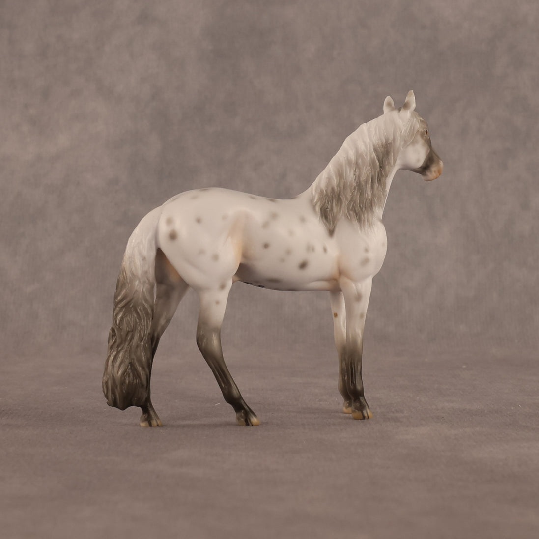 Charles OOAK Chip Andalusian by Madi Wiseman LHS26