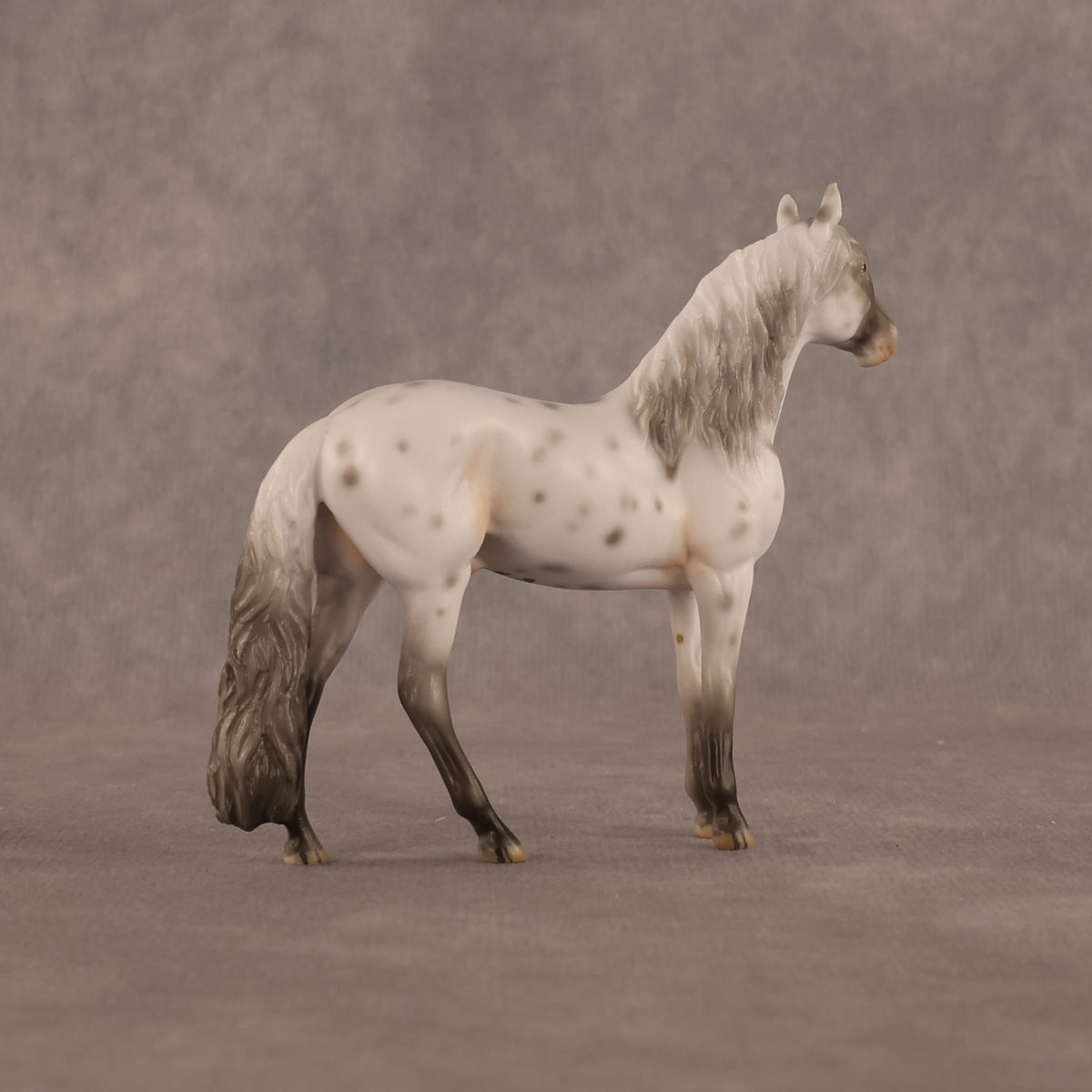 Charles OOAK Chip Andalusian by Madi Wiseman LHS26