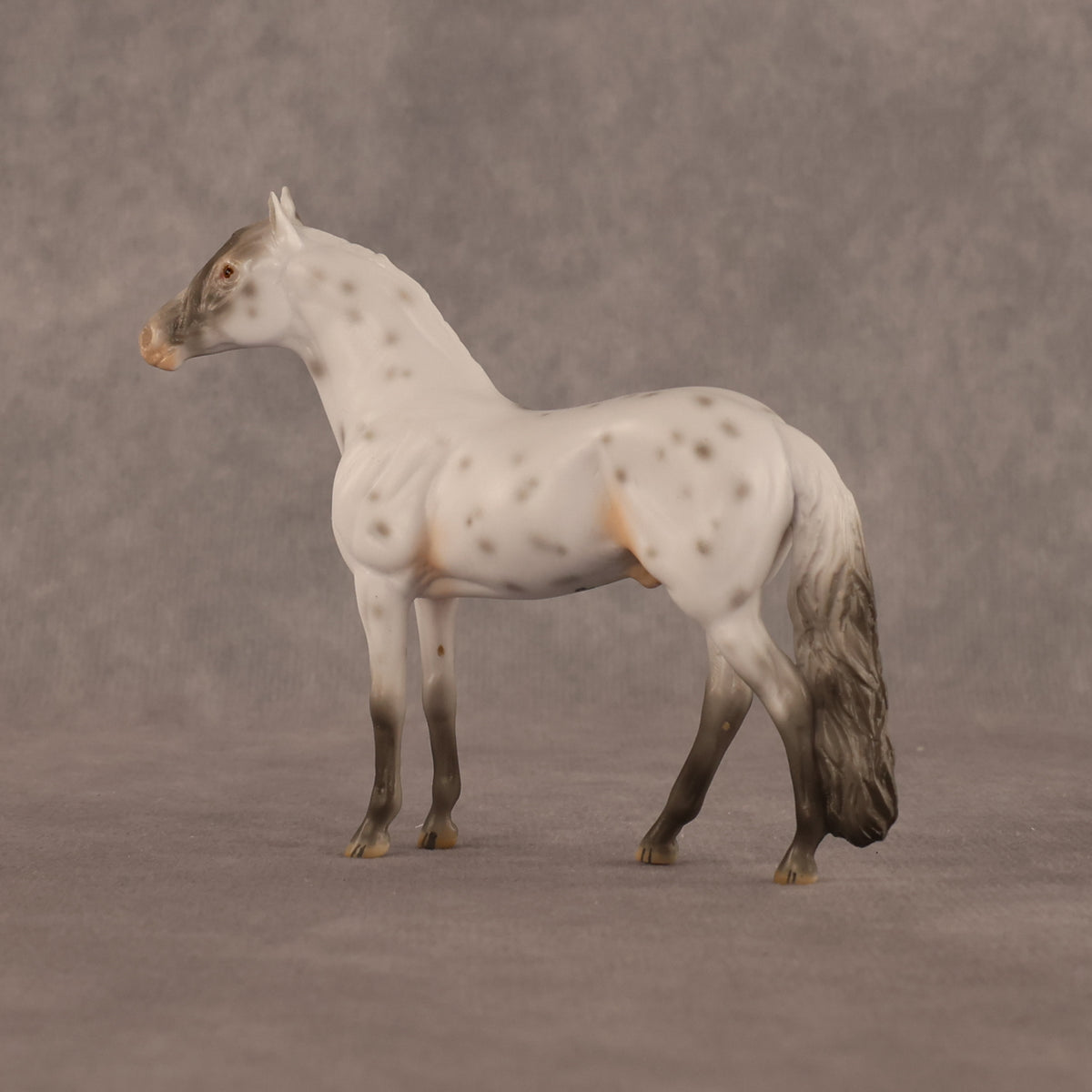 Charles OOAK Chip Andalusian by Madi Wiseman LHS26