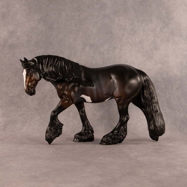 Charleston Chewie OOAK FCM Irish Cob by Anna Rieck EQ26