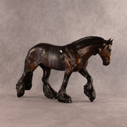 Charleston Chewie OOAK FCM Irish Cob by Anna Rieck EQ26