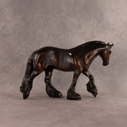 Charleston Chewie OOAK FCM Irish Cob by Anna Rieck EQ26