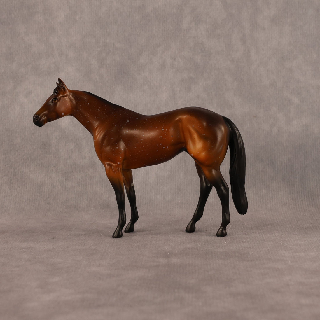 Charlie OOAK Chip Stock Horse by Anna Rieck LHS26