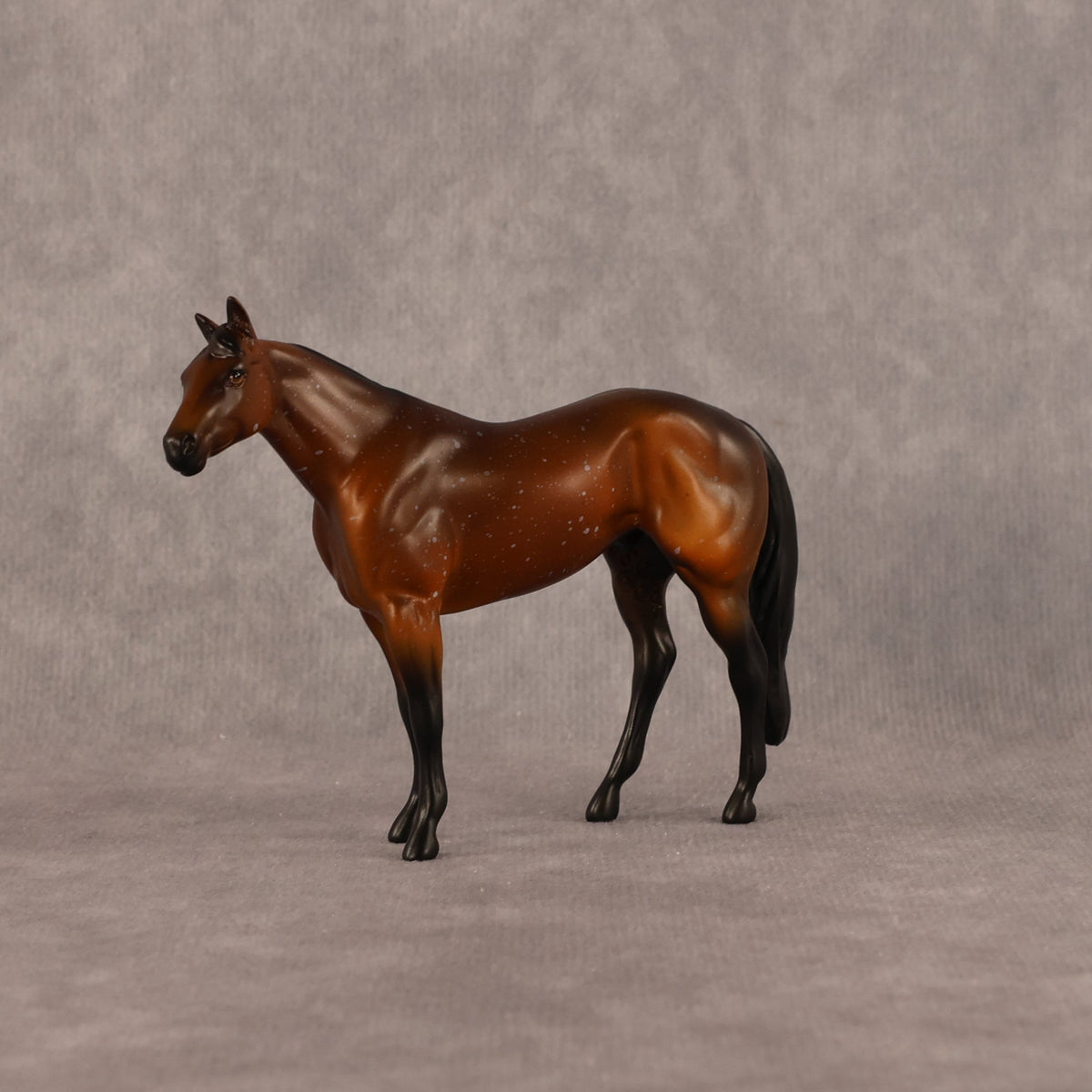 Charlie OOAK Chip Stock Horse by Anna Rieck LHS26