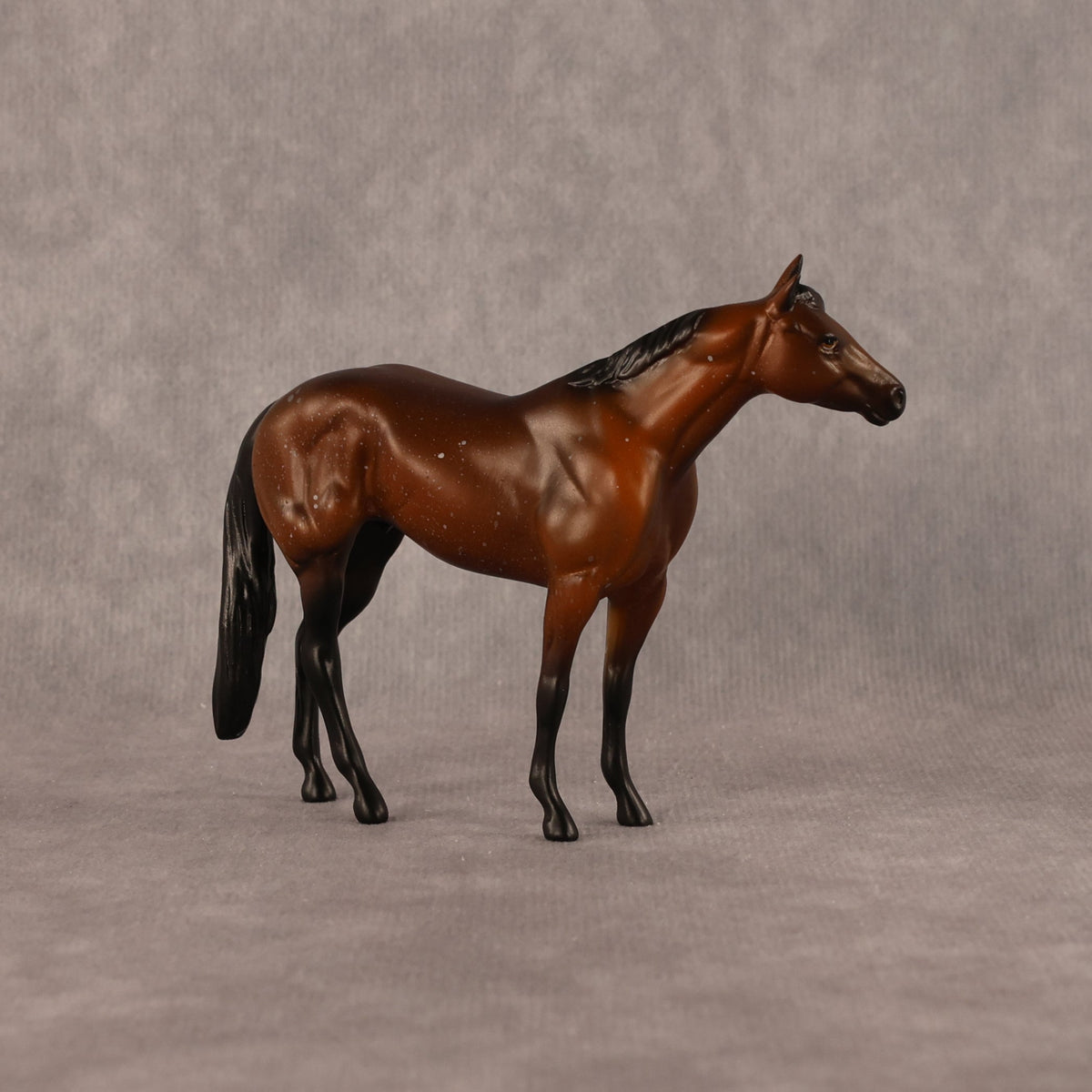 Charlie OOAK Chip Stock Horse by Anna Rieck LHS26