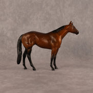 Charlie OOAK Chip Stock Horse by Anna Rieck LHS26