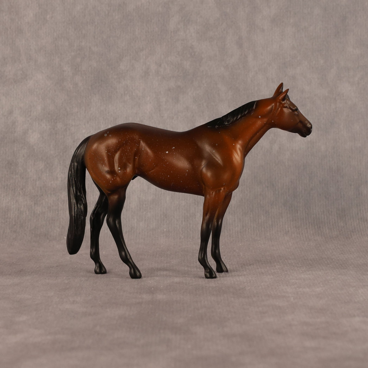 Charlie OOAK Chip Stock Horse by Anna Rieck LHS26