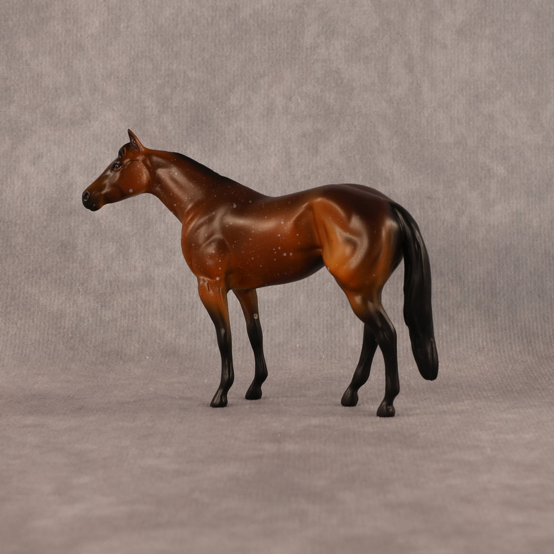 Charlie OOAK Chip Stock Horse by Anna Rieck LHS26