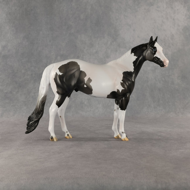 Chase My Blues OOAK Ideal Stock Horse by Carissa Mathews SHCF26