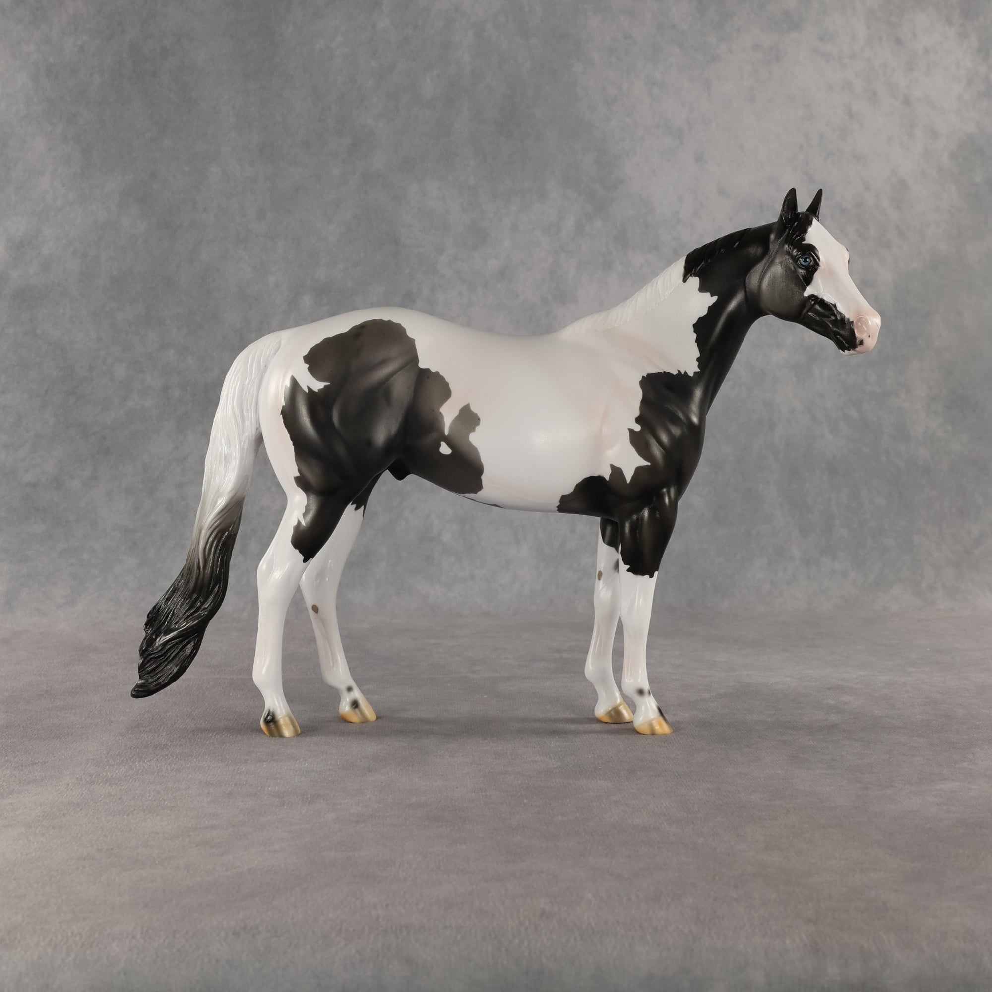 Chase My Blues OOAK Ideal Stock Horse by Carissa Mathews SHCF26