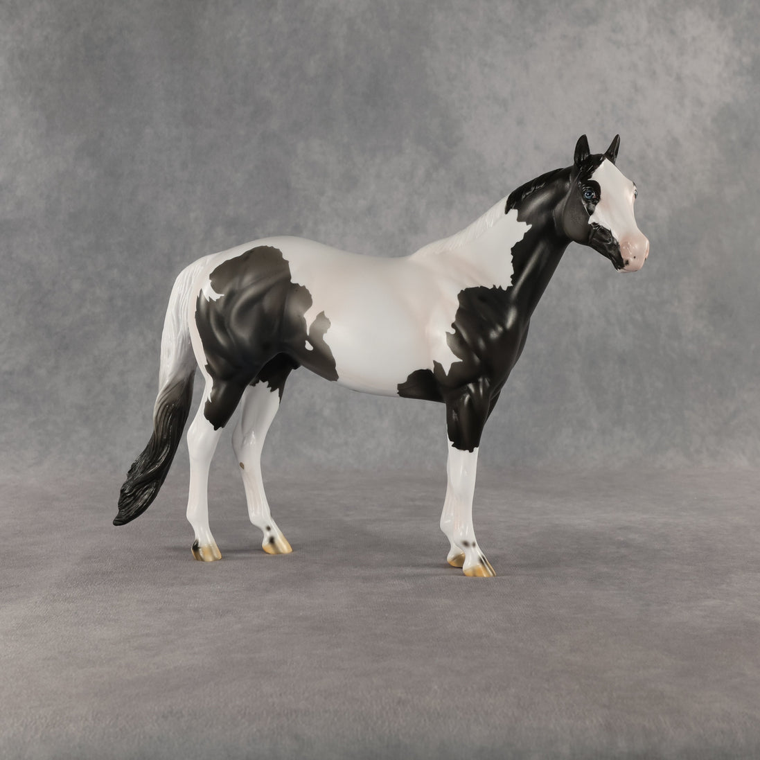 Chase My Blues OOAK Ideal Stock Horse by Carissa Mathews SHCF26