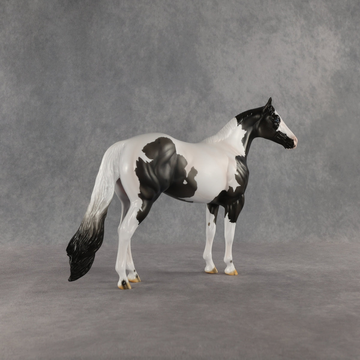 Chase My Blues OOAK Ideal Stock Horse by Carissa Mathews SHCF26