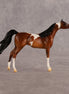 Chase the Morning OOAK Chip Arabian by Alex Fortman LHS26