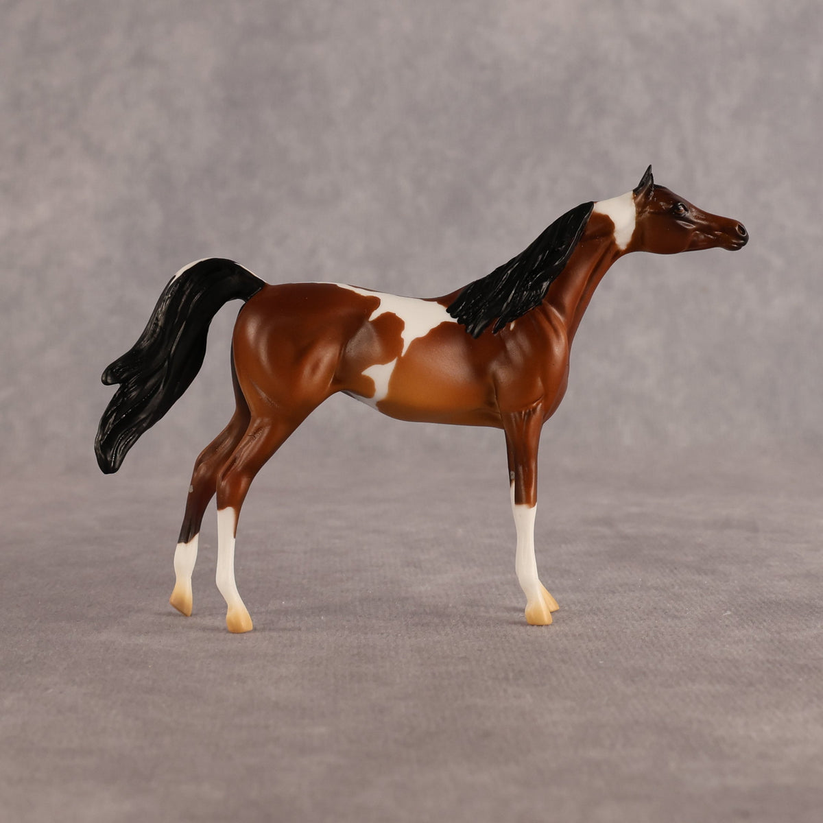 Chase the Morning OOAK Chip Arabian by Alex Fortman LHS26