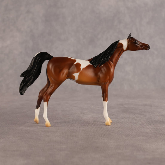 Chase the Morning OOAK Chip Arabian by Alex Fortman LHS26